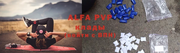 прущие грибы Переславль-Залесский