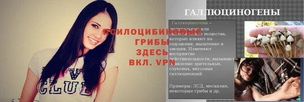 сатива Алзамай