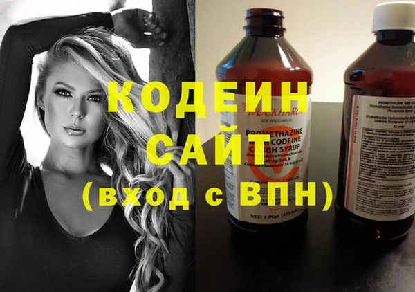 прущие грибы Переславль-Залесский