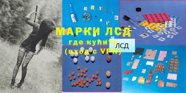 сатива Алзамай