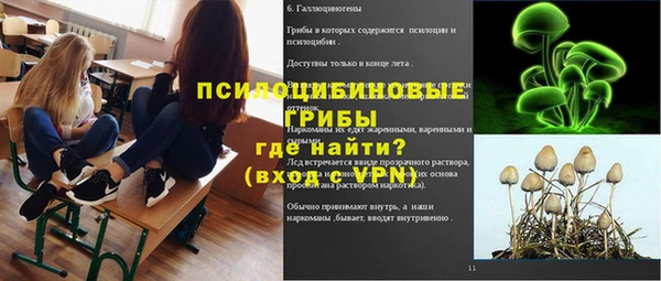 apvp Алексин