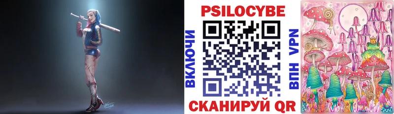 закладки  Камбарка  Галлюциногенные грибы мухоморы 